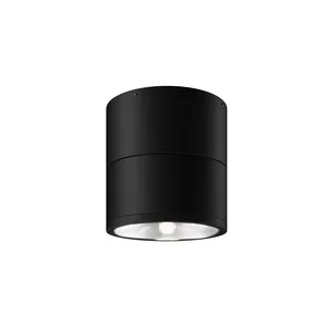 Уличный потолочный светильник Outdoor O310CL-L12GF3K