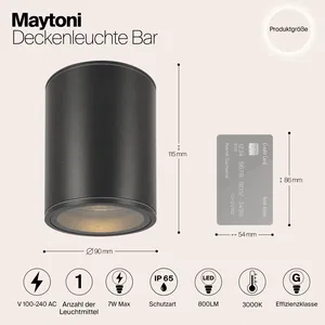 Уличный потолочный светильник Outdoor O306CL-L7GF