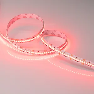 Лента RT-G240-12mm 24V RGB (18 W/m, IP20, 3838, 5m) (Arlight, Открытый)