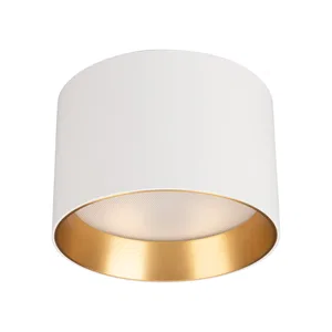 Светильник SP-BISCOTTO-R120-12W Warm3300-MIX (WH-GD, 80 deg, 230V) (Arlight, IP54 Металл, 5 лет)