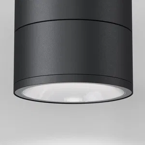 Уличный потолочный светильник Outdoor O310CL-L12GF3K