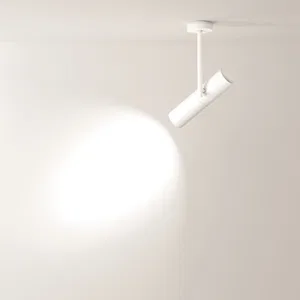 Потолочный светильник Technical C020CL-01W