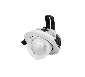 Светильник LTD-150WH-EXPLORER-30W Day White 38deg (Arlight, IP20 Металл, 3 года)