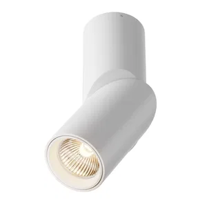 Потолочный светильник Technical C027CL-L10W
