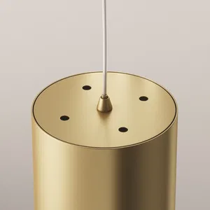 Подвесной светильник Maytoni P088PL-GX53-MG