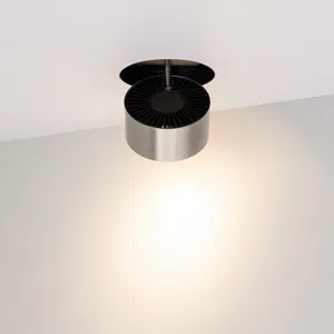 Светильник SP-PLURIO-BUILT-TRIMLESS-R120-9W Warm3000 (BK-NI, 36 deg, 230V) (Arlight, IP20 Металл, 3 года)