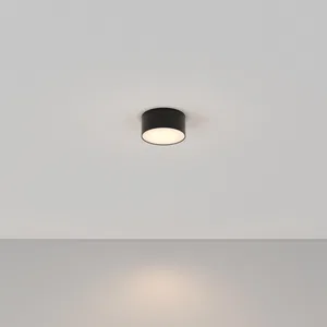 Потолочный светильник Technical C032CL-12W3K-RD-B