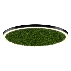 Модульный светильник HOKASU Halo Moss (кольцо со мхом)