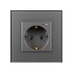 Розетка электрическая с Zigbee управлением SCT-OMALI-EUZB1-PL-GR (240V, 16A, Zigbee) (Arlight, -)
