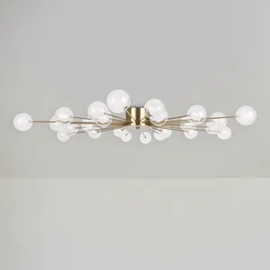 Потолочный светильник Freya FR5242CL-24BS1