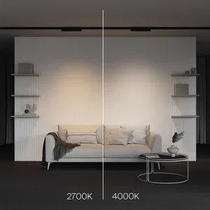 Трековый светильник Technical TR196-3-10W2.7K-W