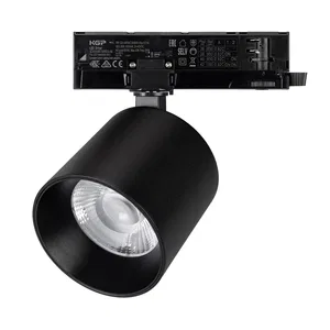 Светильник LGD-DYKE-4TR-R100-36W Day4000 (BK, 38 deg, 230V, DALI) (Arlight, IP20 Металл, 5 лет)