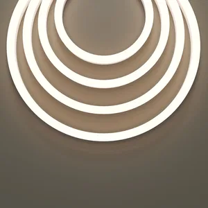 Гибкий неон Led Strip 201230