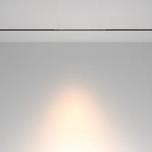 Трековый светильник Technical TR232-2-15W3K-B