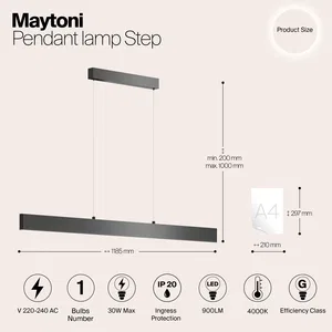 Подвесной светильник Maytoni P010PL-L30B4K