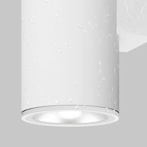 Уличный настенный светильник Outdoor O303WL-L24W3K