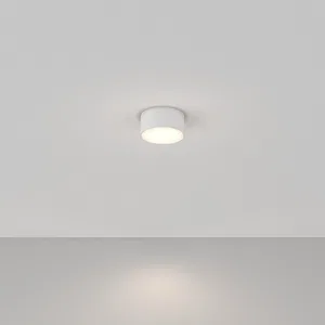 Потолочный светильник Technical C032CL-12W4K-RD-W