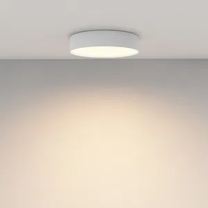 Потолочный светильник Technical C032CL-36W3K-RD-W