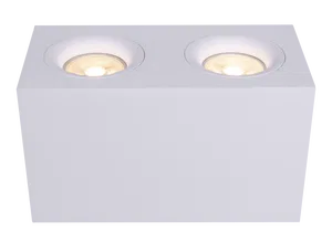 Потолочный светильник Technical C013CL-02W
