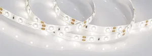 Лента RTW 2-5000SE 12V Day (3528, 300 LED, LUX) (Arlight, 4.8 Вт/м, IP65)