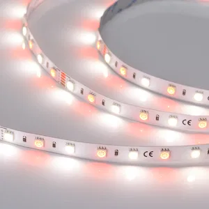 Лента RT-B60-10mm 24V RGBW-Day (14.4 W/m, IP20, 5m) (Arlight, Открытый)