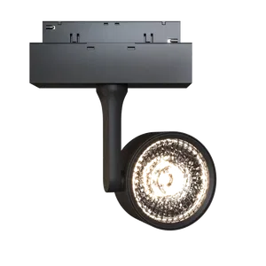 Трековый светильник Technical TR024-2-10W3K