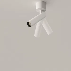 Потолочный светильник Technical C141CL-L125-6W3K-W