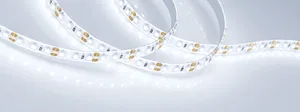 Лента герметичная RTW-SE-A120-8mm 12V Cool 10K (9.6 W/m, IP65, 2835, 5m) (Arlight, 9.6 Вт/м, IP65)