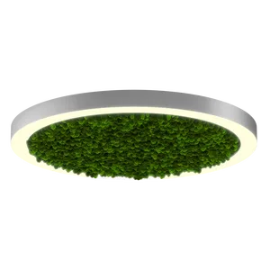 Модульный светильник HOKASU Halo Moss (кольцо со мхом)