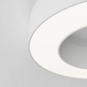 Потолочный светильник Technical C093CL-24W4K-W