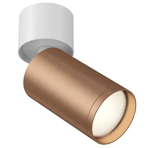 Потолочный светильник Technical C050CL-U-1S