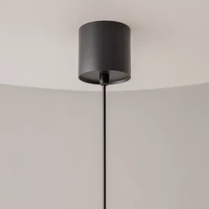 Подвесной светильник Maytoni P100PL-20W3K-B