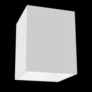 Потолочный светильник Technical C015CL-01W