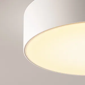 Уличный потолочный светильник Outdoor O431CL-L30W3K