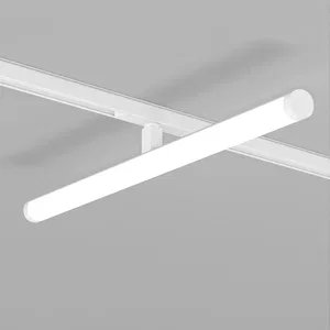 Светильник MAG-ORIENT-TUBE-TURN-L600-20W Day4000 (WH, 180 deg, 48V) (Arlight, IP20 Металл, 5 лет)
