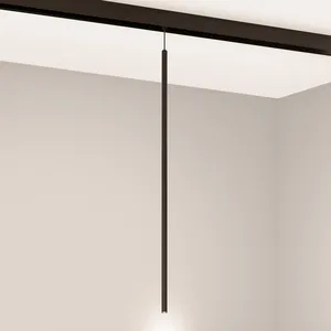 Светильник MAG-ORIENT-SPOT-HANG-L600-R12-2W Warm3000 (BK, 20 deg, 48V) (Arlight, IP20 Металл, 5 лет)