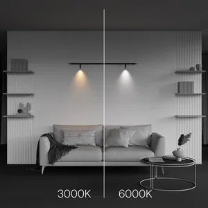 Светильник Technical C102CL-3W3-6K-B