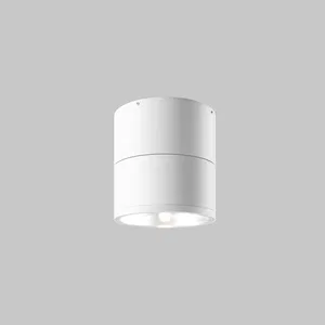 Уличный потолочный светильник Outdoor O310CL-L7W3K