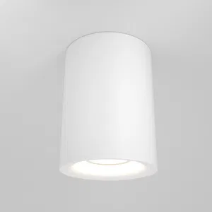 Потолочный светильник Technical C012CL-01W