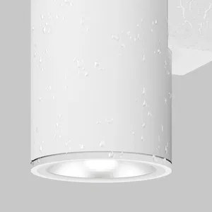 Уличный настенный светильник Outdoor O303WL-L24W3K