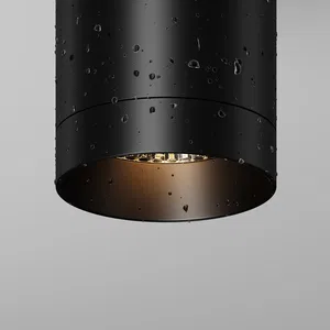 Уличный потолочный светильник Outdoor O500CL-L10B3K