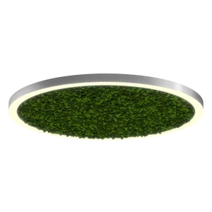 Модульный светильник HOKASU Halo Moss (кольцо со мхом)