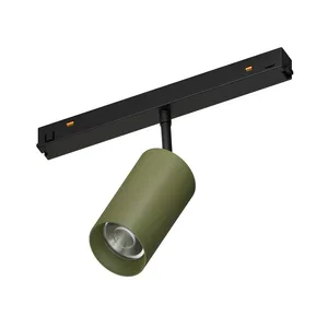 Светильник MAG-ORIENT-COLOR-SPOT-R45-10W Warm3000 (RAL6013, 26 deg, 48V) (Arlight, IP20 Металл, 5 лет)