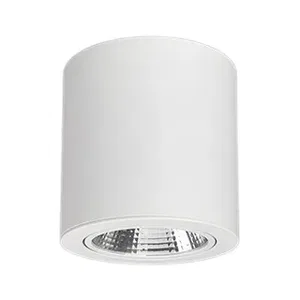 Светильник SP-FOCUS-R140-30W Day White (Arlight, IP20 Металл, 3 года)