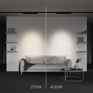 Трековый светильник Technical TR195-3-10W4K-M-B