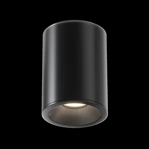 Потолочный светильник Technical C029CL-01B