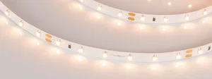 Лента RT 2-5000 24V Warm2700 (3528, 300 LED, CRI98) (Arlight, 4.8 Вт/м, IP20)