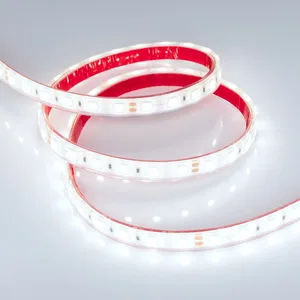 Лента герметичная RTW-PFS-B60-13mm 24V Cool 10K (14.4 W/m, IP68, 5060, 5m) (Arlight, 14.4 Вт/м, IP68)