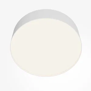 Потолочный светильник Technical C032CL-36W4K-RD-W