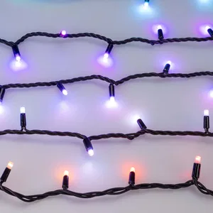 Светодиодная гирлянда ARD-STRING-PRO-10000-BLACK-100LED-LIVE RGB-DMX (24V, 10W) (Ardecoled, IP65, 2 года)